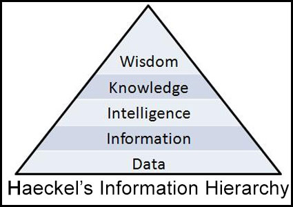 Haekels-Information-Hierarchy