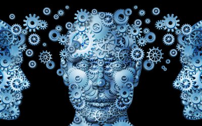 What’s the Difference Between Training, Education, Development and Learning?