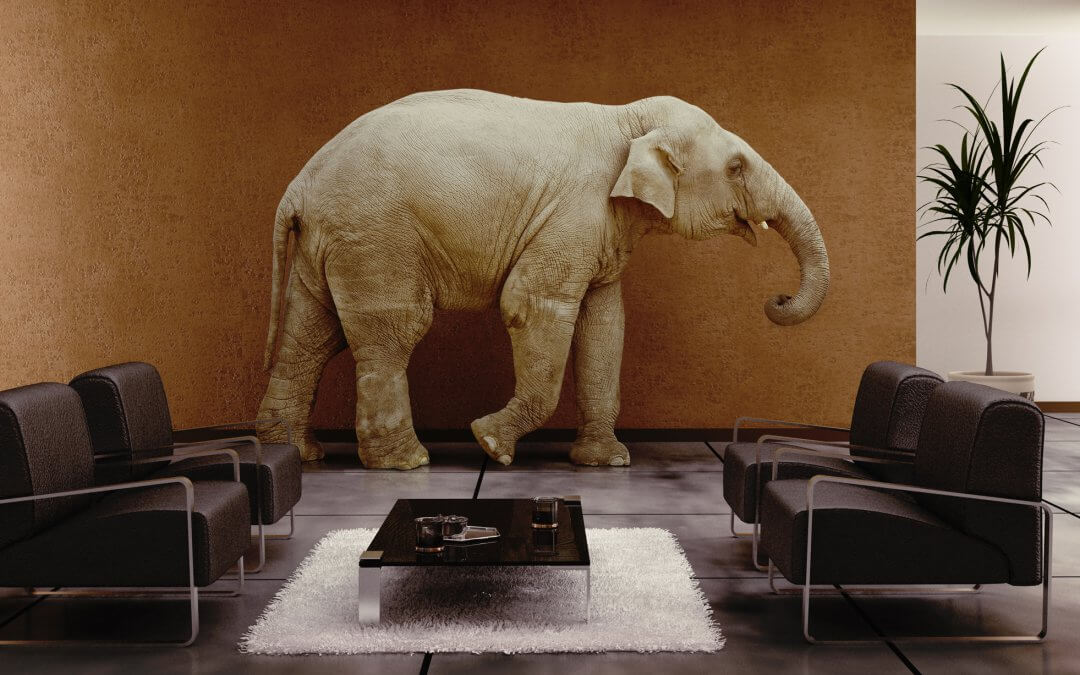 Can You See the Elephant in the Room?